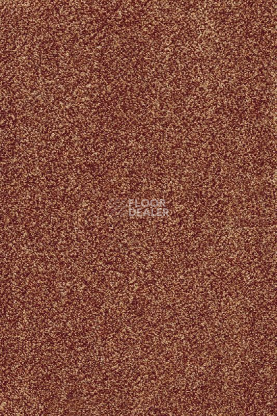 Ковролин AW Masquerade Corallina 84 фото 1 | FLOORDEALER